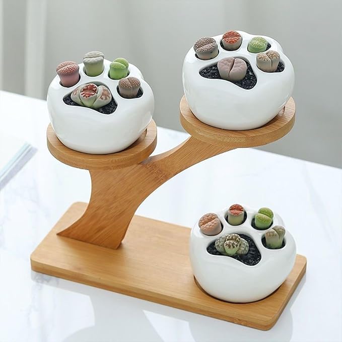 Bamboo Small Succulent Windowsill Shelf manufacturers