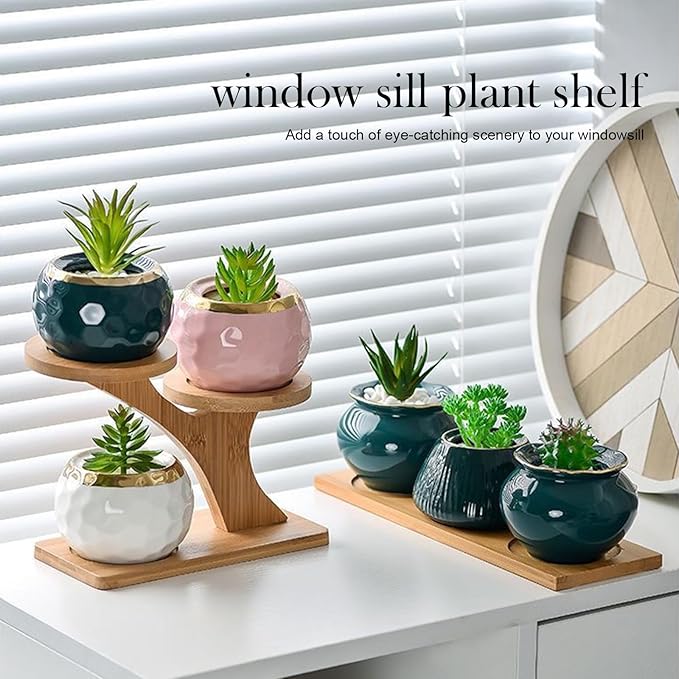 Bamboo Small Succulent Windowsill Shelf suppliers