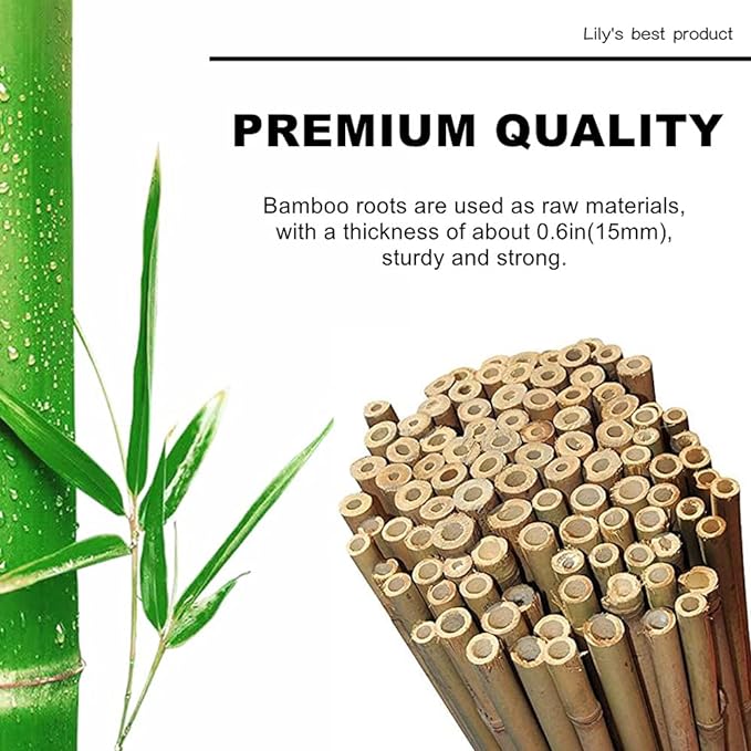 bamboo