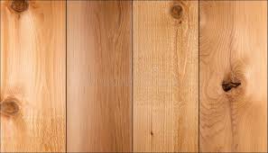 cedar wood cedar wood