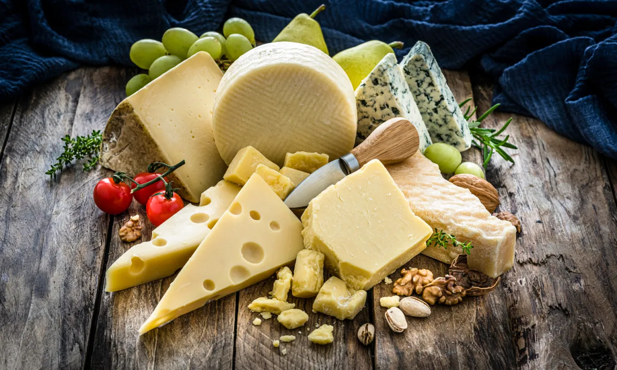 Where Does Cheese Come From?