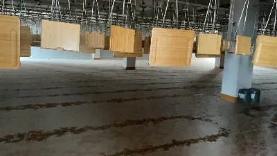 20211026114345 20211026114345