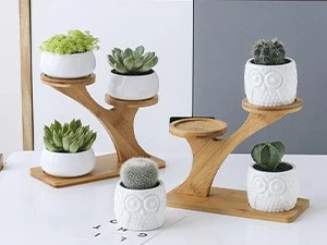 Bamboo Small Succulent Windowsill Shelf 18