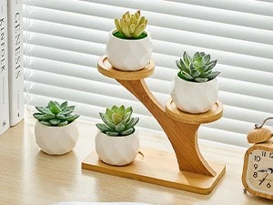 Bamboo Small Succulent Windowsill Shelf 20