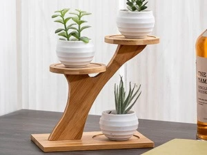 Bamboo Small Succulent Windowsill Shelf 19